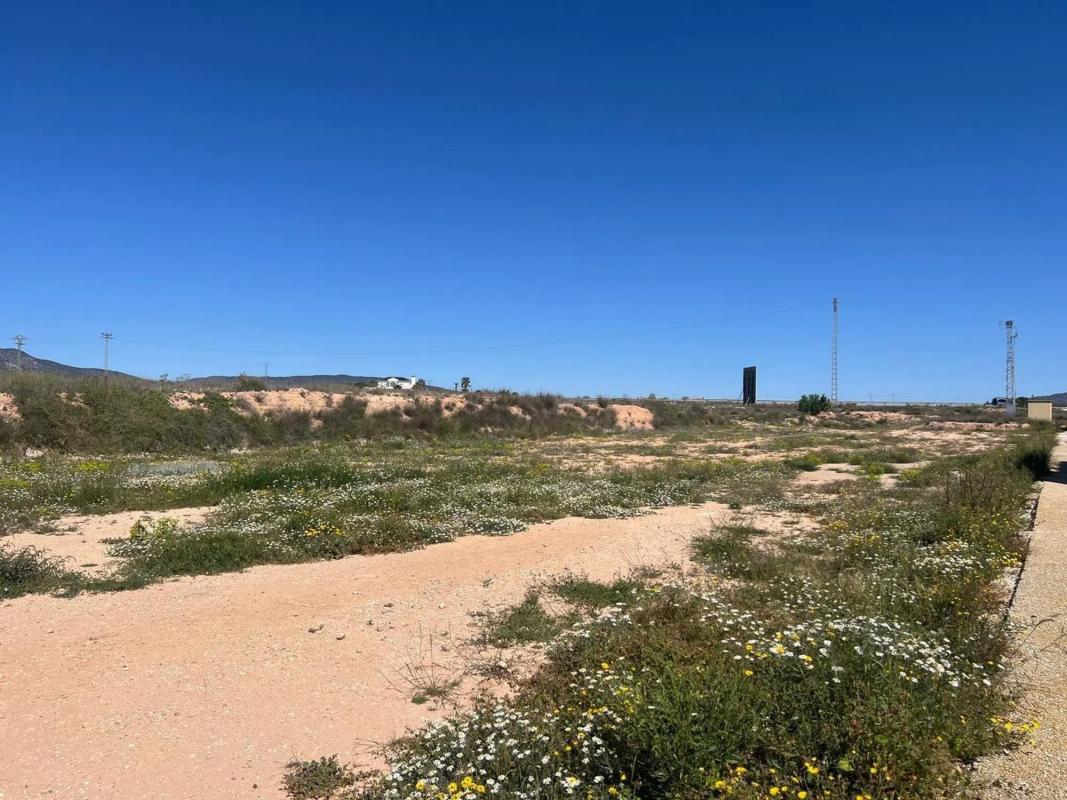 Terreno en venta en Pinoso, Alicante photo 4