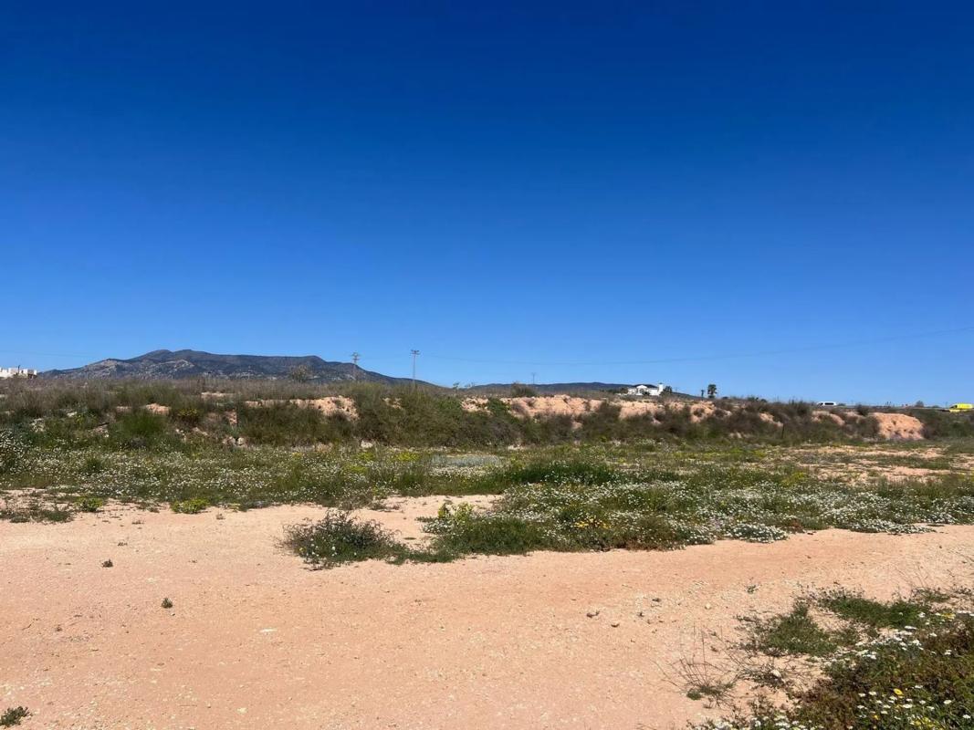 Terreno en venta en Pinoso, Alicante photo 5