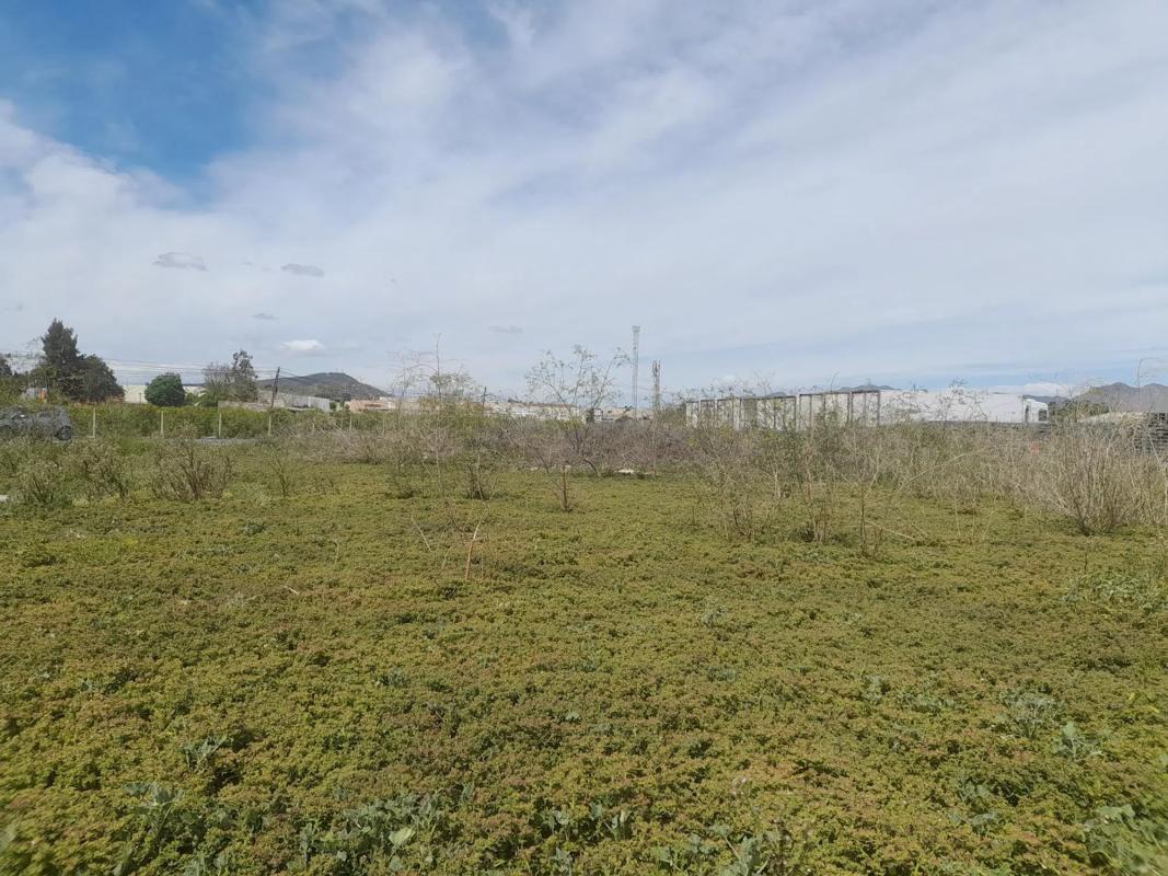 Terreno en venta en Jacarilla, Alicante photo 3