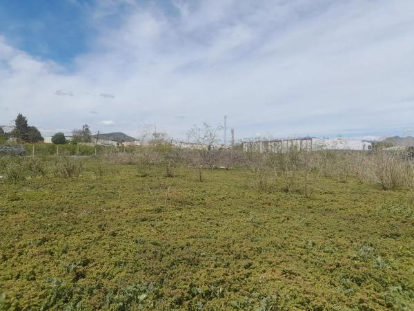 Terreno en Poligono 1 Parcela 136 s/n thumbnail 2