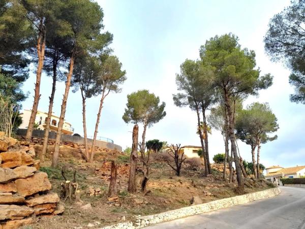 Terreno en Pedreguer photo 1