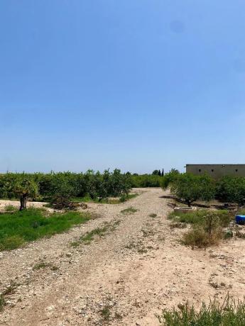 Terreno en la dehesa, 1 thumbnail 1