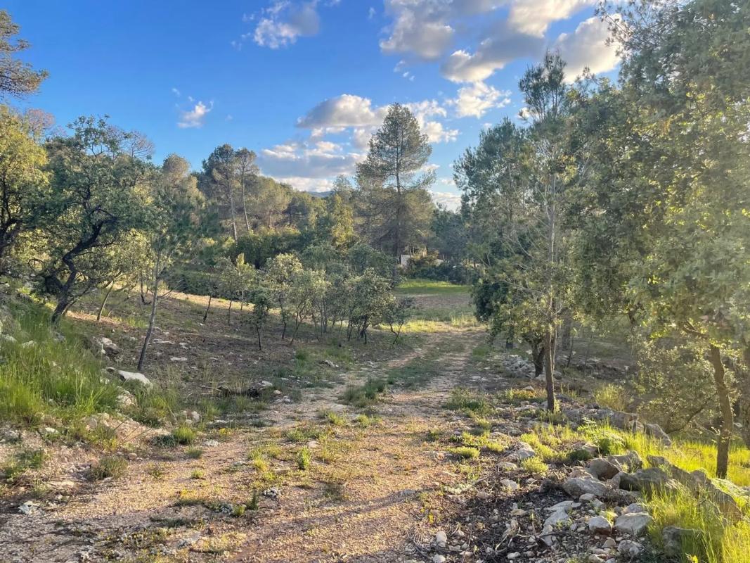 Terreno en venta en Alcoy / Alcoi, Alicante photo 1