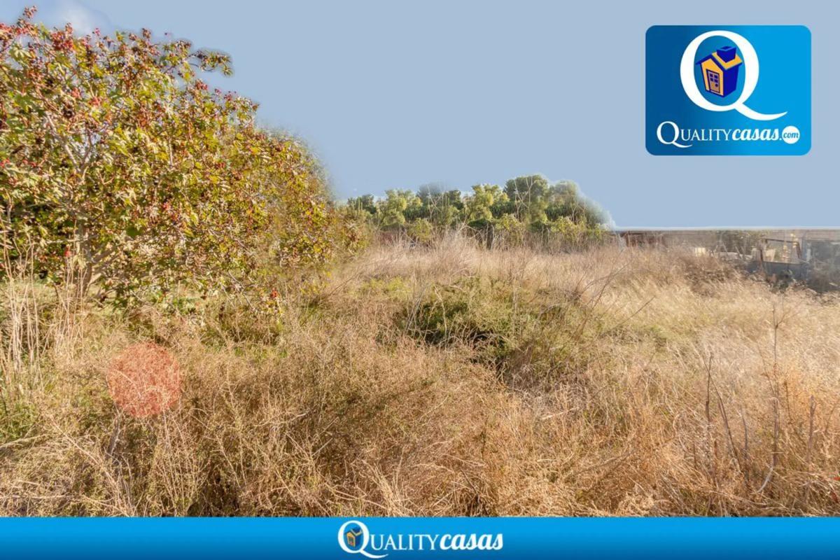 Land for sale in Mutxamel, Alicante photo 3