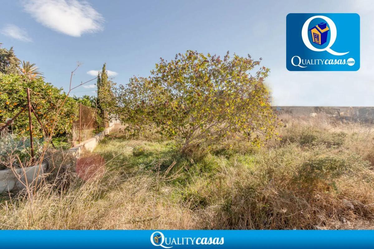 Land for sale in Mutxamel, Alicante photo 4