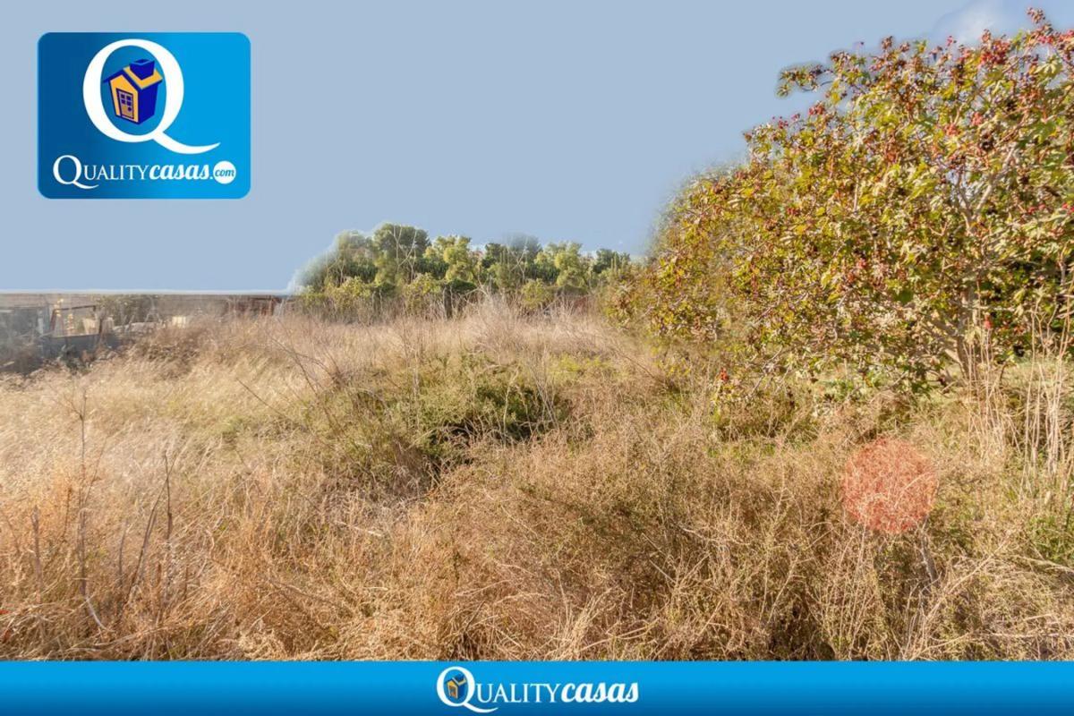 Land for sale in Mutxamel, Alicante photo 5