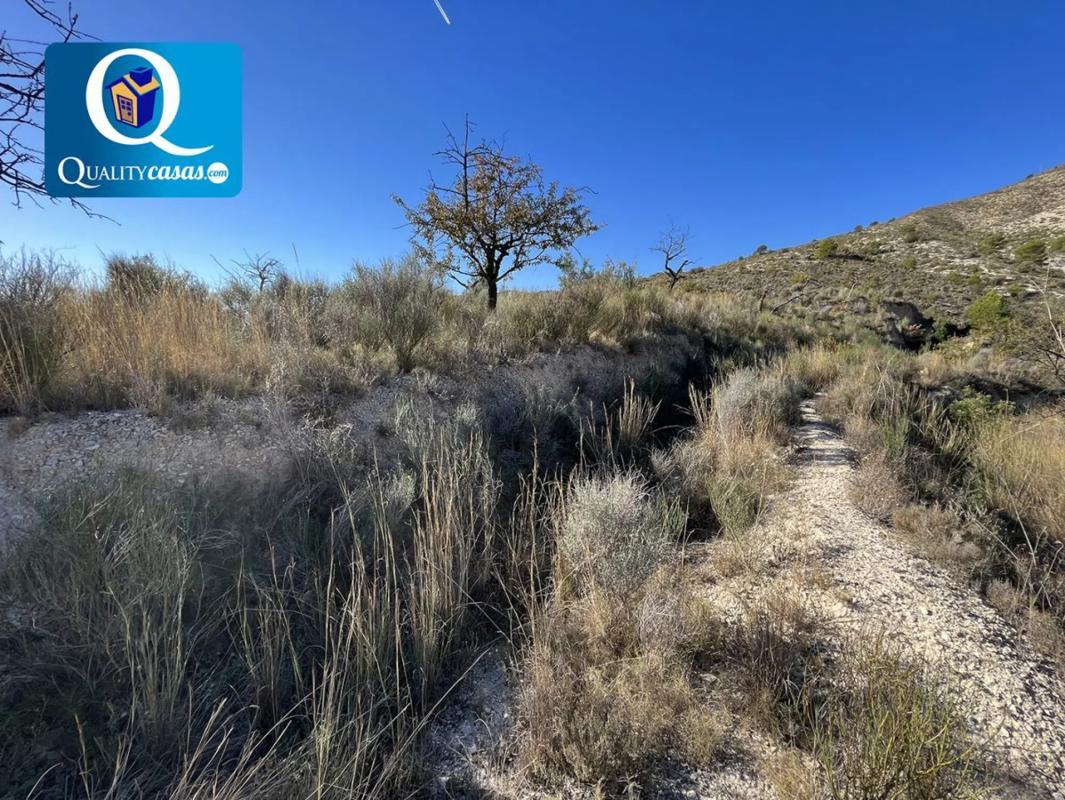 Terreno en venta en Orxeta, Alicante photo 2
