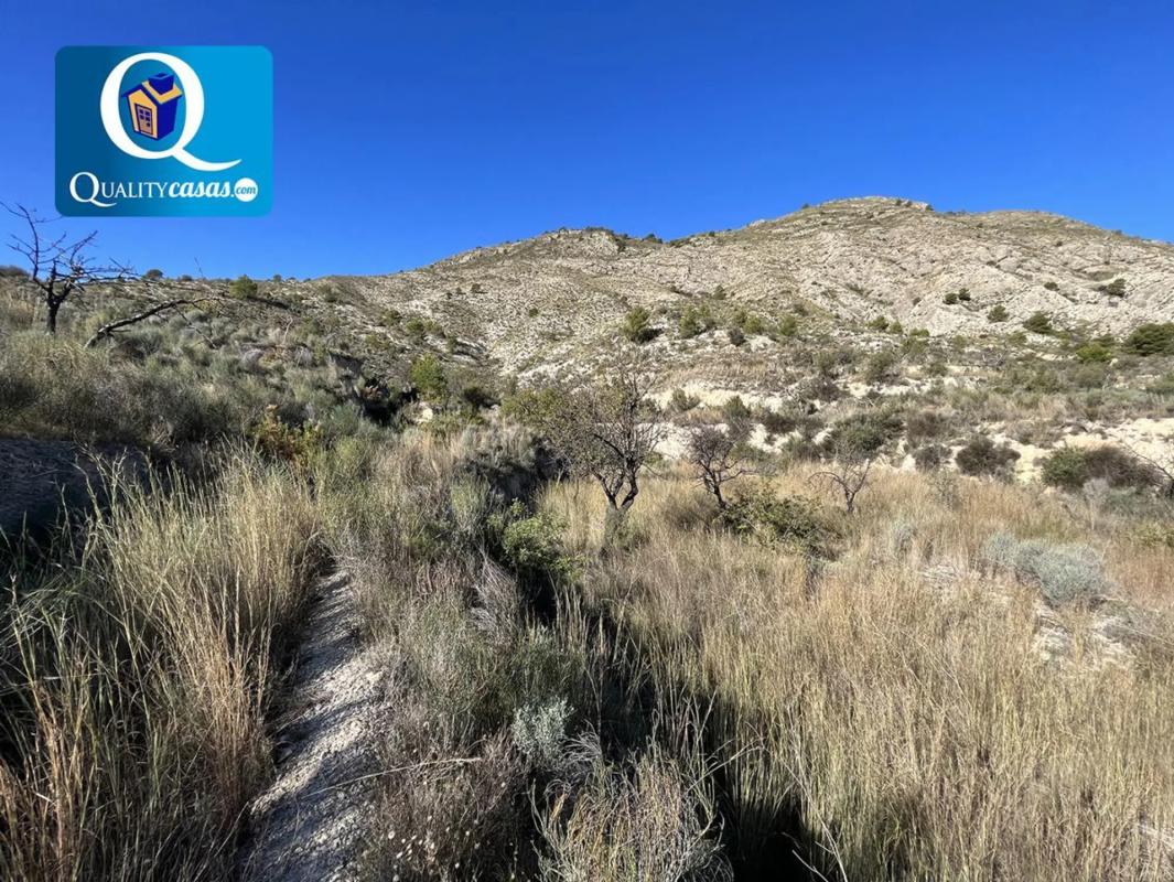 Terreno en venta en Orxeta, Alicante photo 4
