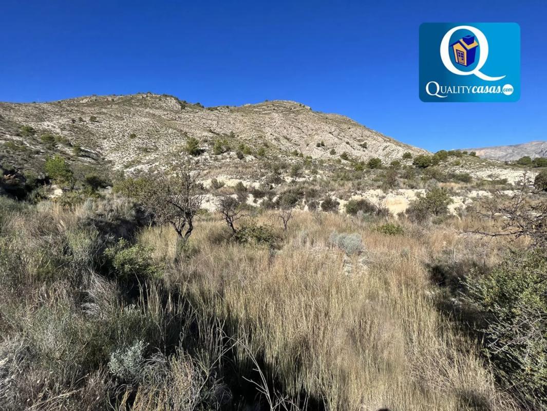 Terreno en venta en Orxeta, Alicante photo 5