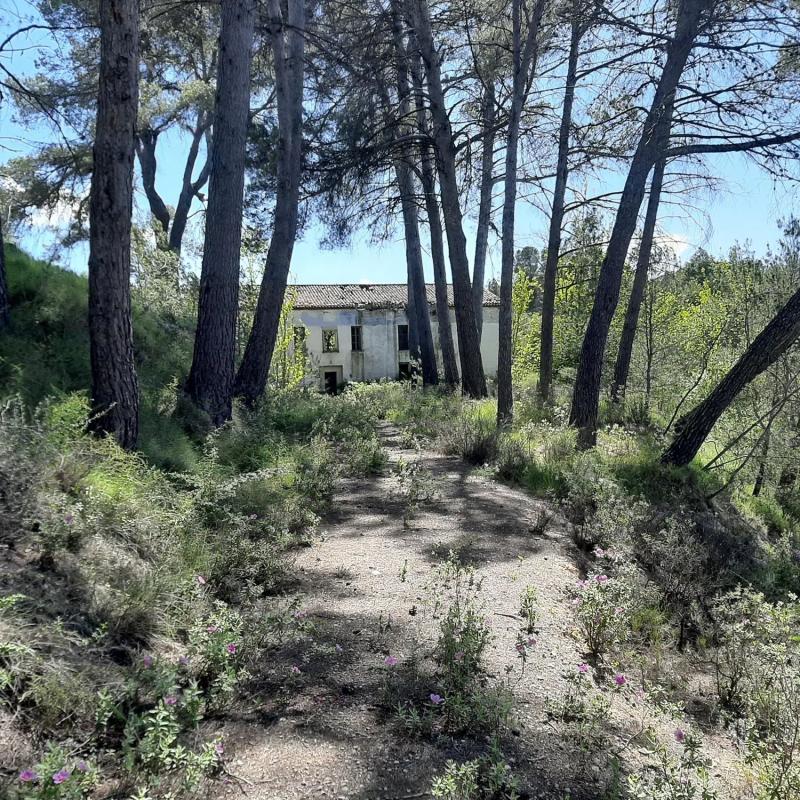 Terreno en venta en Planes, Alicante photo 1