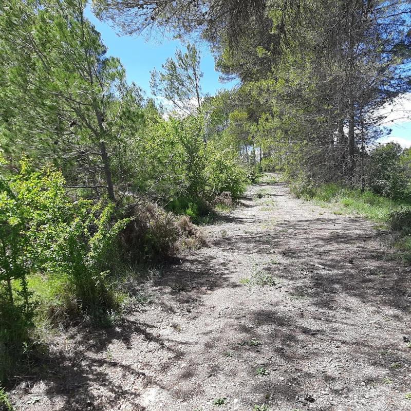 Terreno en venta en Planes, Alicante photo 2