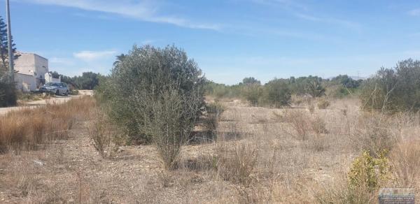 Terreno en Benferri photo 2