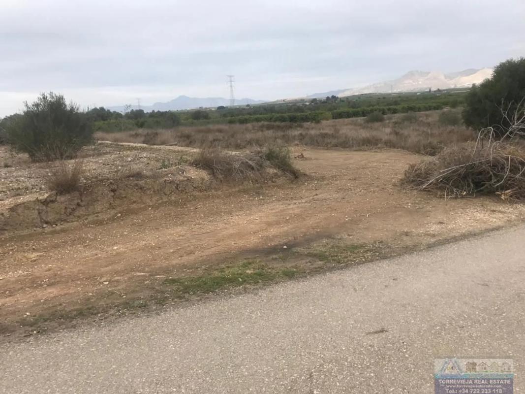 Działka na sprzedaż w Benferri, Alicante photo 4