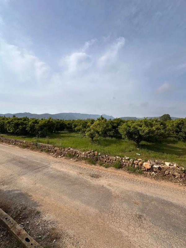 Land for sale in Pedreguer, Alicante photo 2