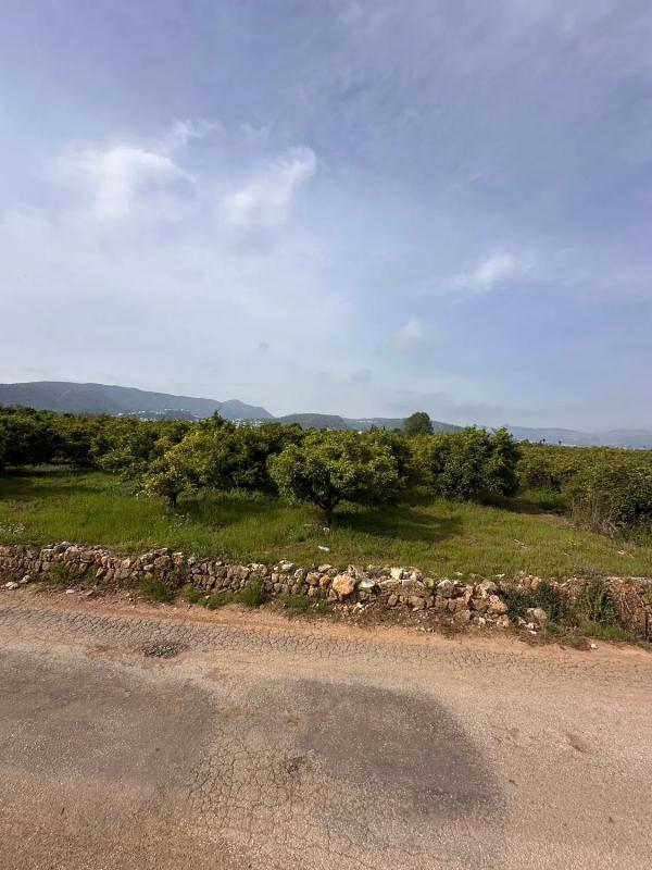 Land for sale in Pedreguer, Alicante photo 3