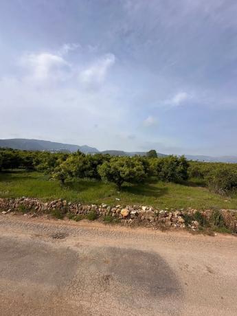 Terreno en Partida Trapig, km 2 photo 3