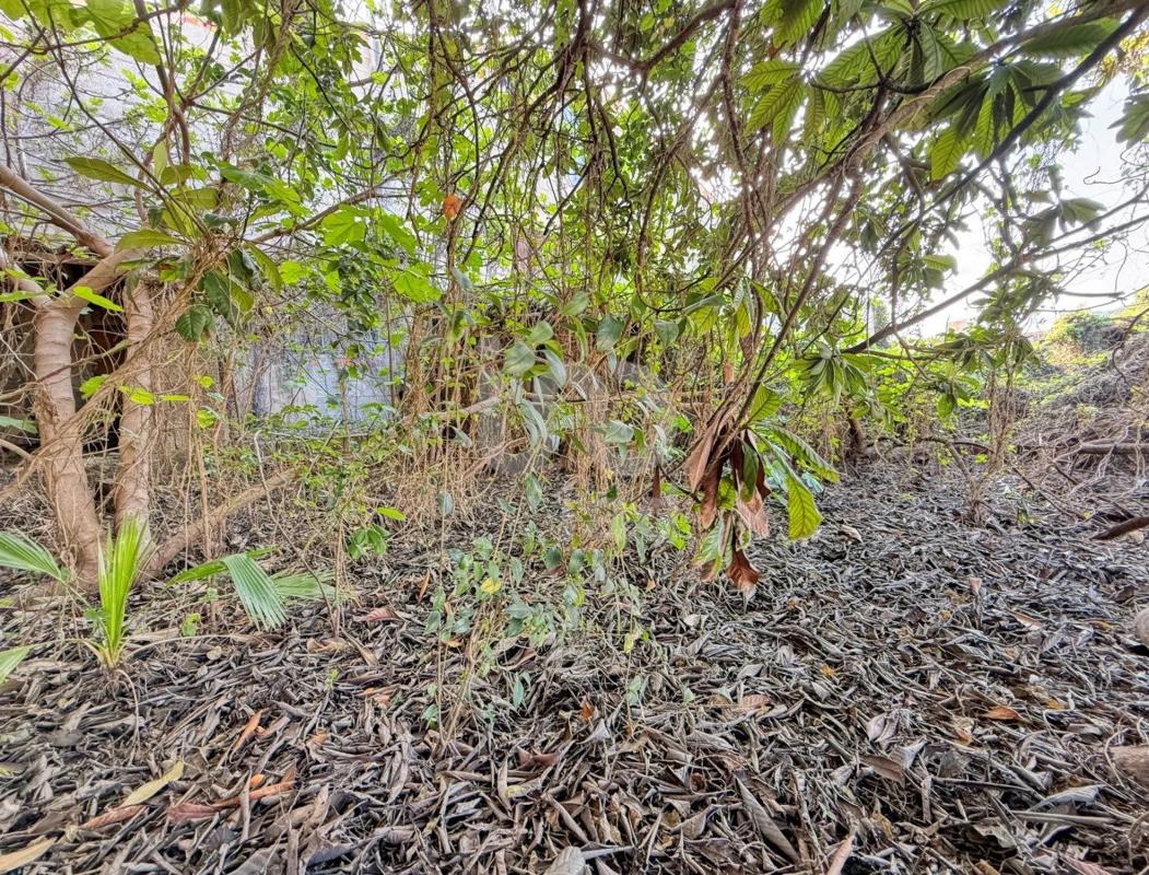 Terreno en venta en Pego, Alicante photo 4