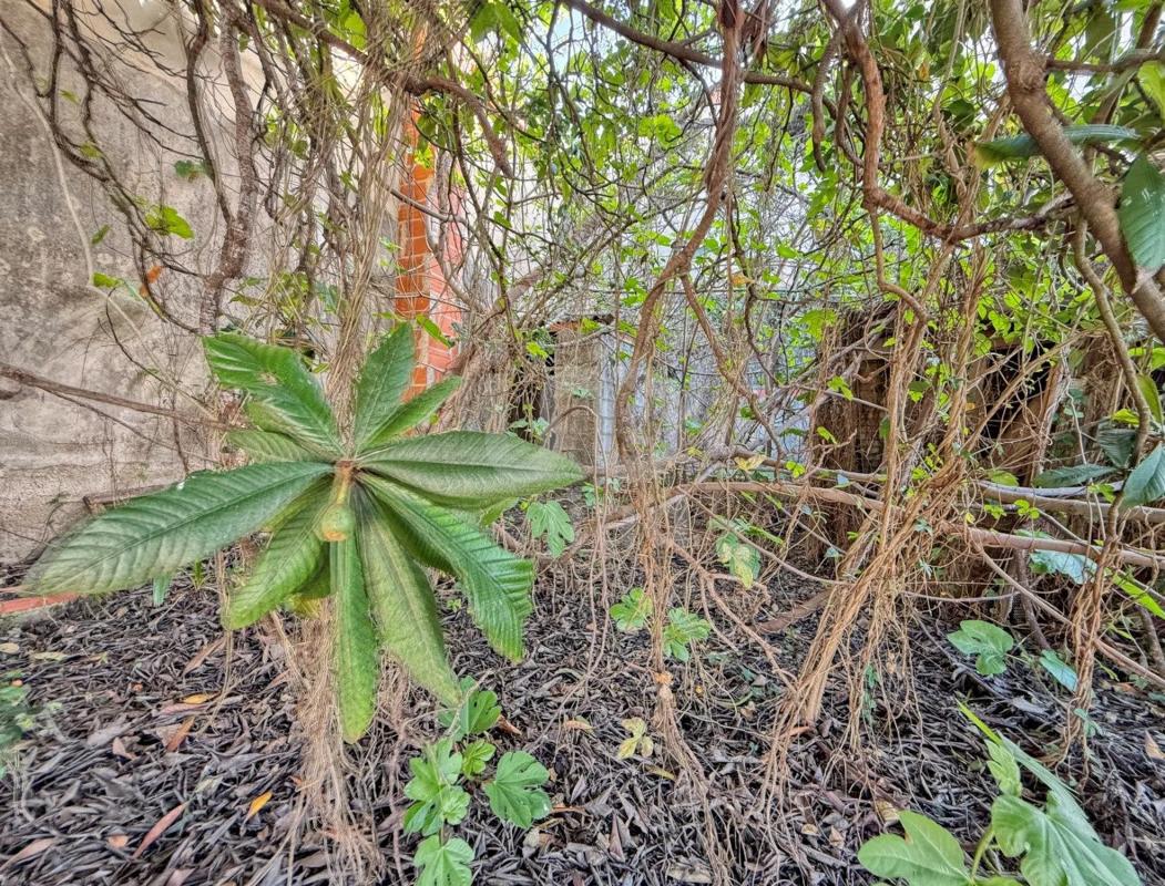 Terreno en venta en Pego, Alicante photo 5