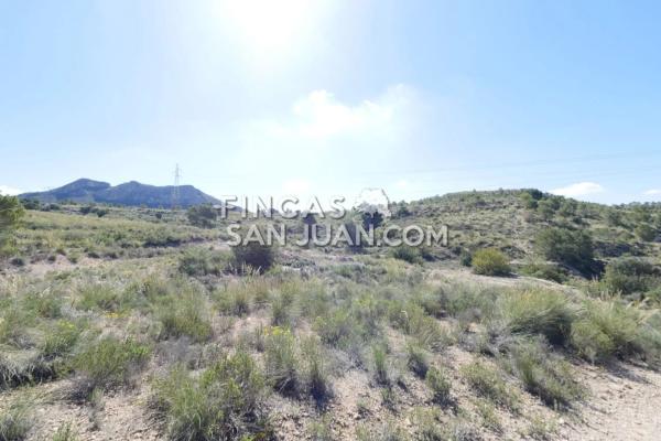 Terreno en Busot photo 4