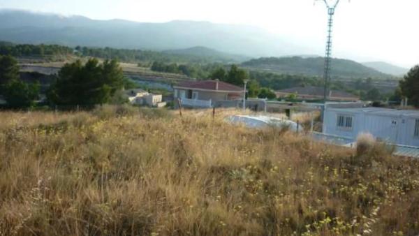 Terreno en Finca Terol s/n photo 2