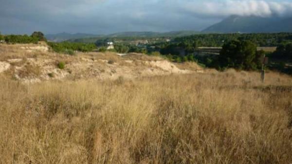 Terreno en Finca Terol s/n photo 3