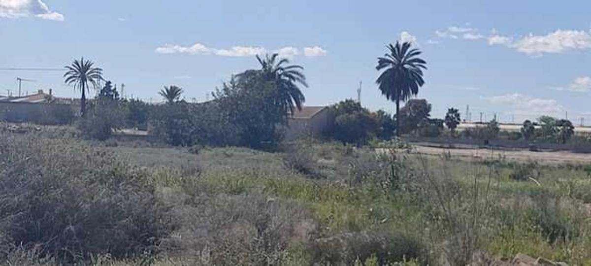 Terreno en venta en Rojales, Alicante photo 2