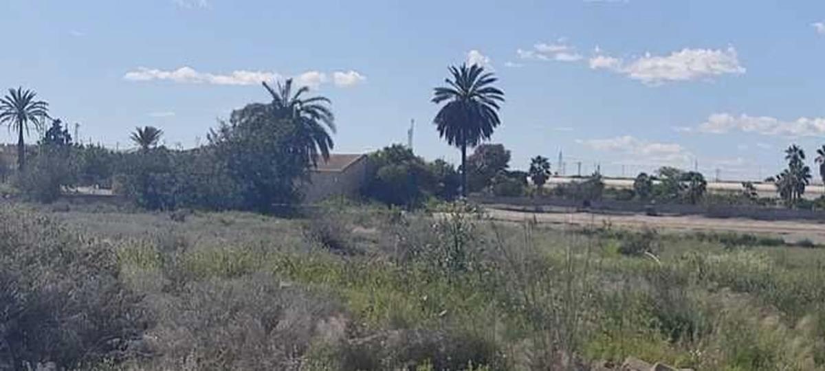 Terreno en venta en Rojales, Alicante photo 3