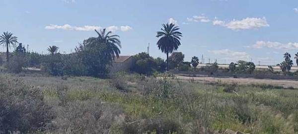 Terreno en Rojales photo 3