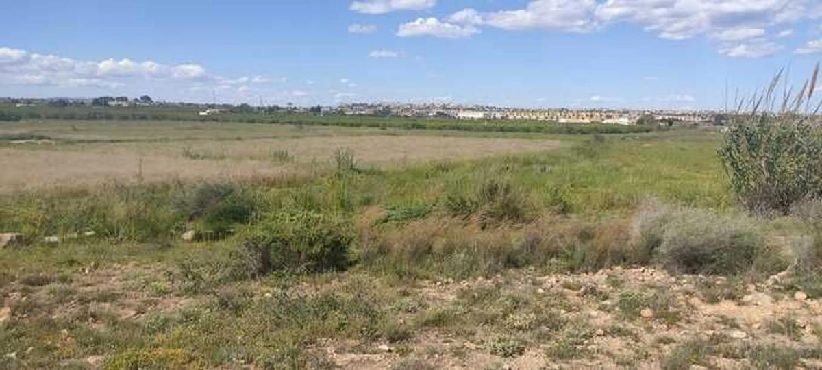 Terreno en venta en Rojales, Alicante photo 5