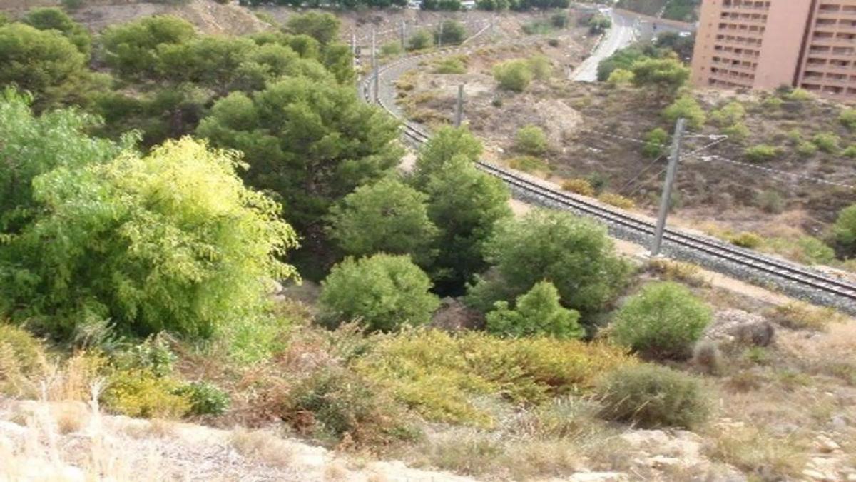 Land for sale in La Villajoyosa / Vila Joiosa, Alicante photo 3