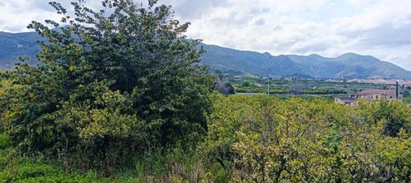 Terreno en Pego photo 1