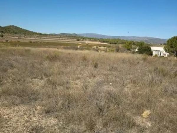 Terreno en Partida els Alforins, 4 thumbnail 2