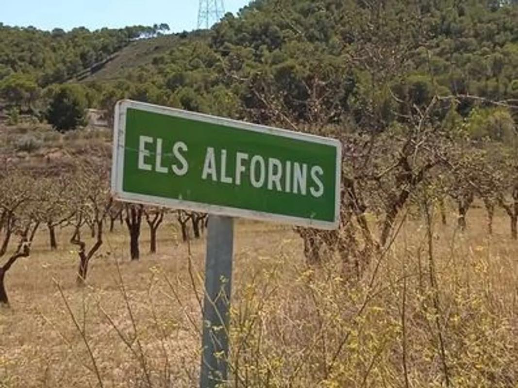 Land for sale in Monovar, Alicante photo 5