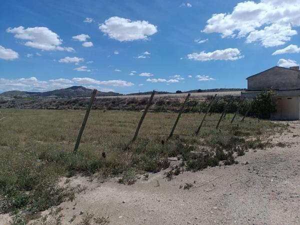 Terreno en Amoloig, 19 PolgonoParcela photo 1