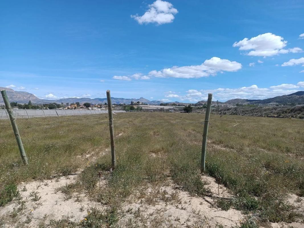Участок земли на продажу в Монфорте-дель-Сид, Аликанте photo 3