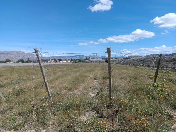 Terreno en Amoloig, 19 PolgonoParcela photo 4