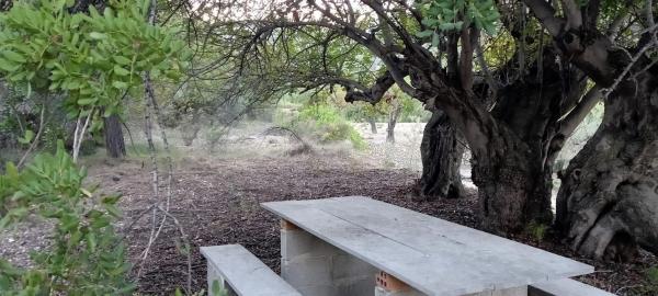 Terreno en Beniarda photo 1