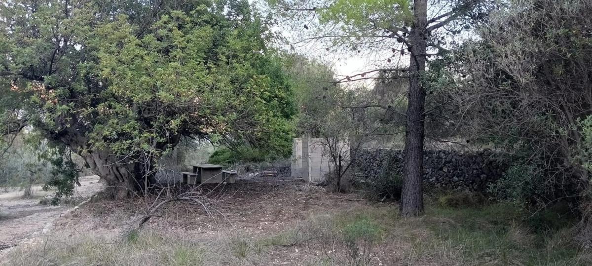 Terreno en venta en Beniarda, Alicante photo 3