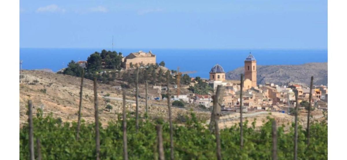 Land for sale in August, Alicante photo 3