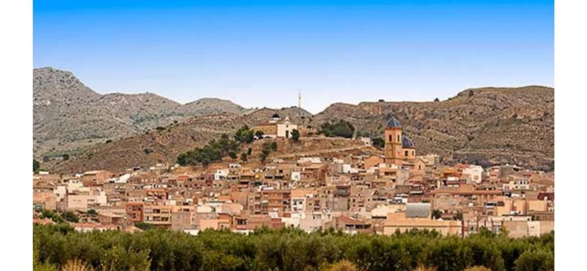 Land for sale in August, Alicante photo 5