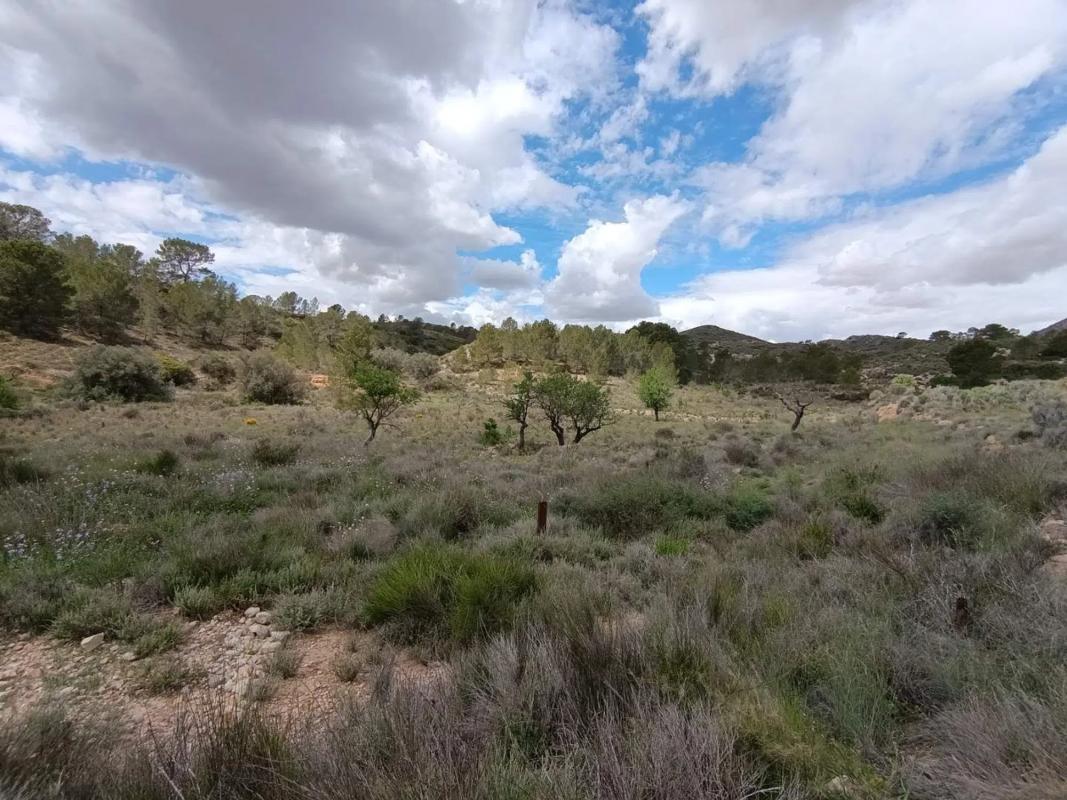 Land for sale in Orihuela, Alicante photo 1