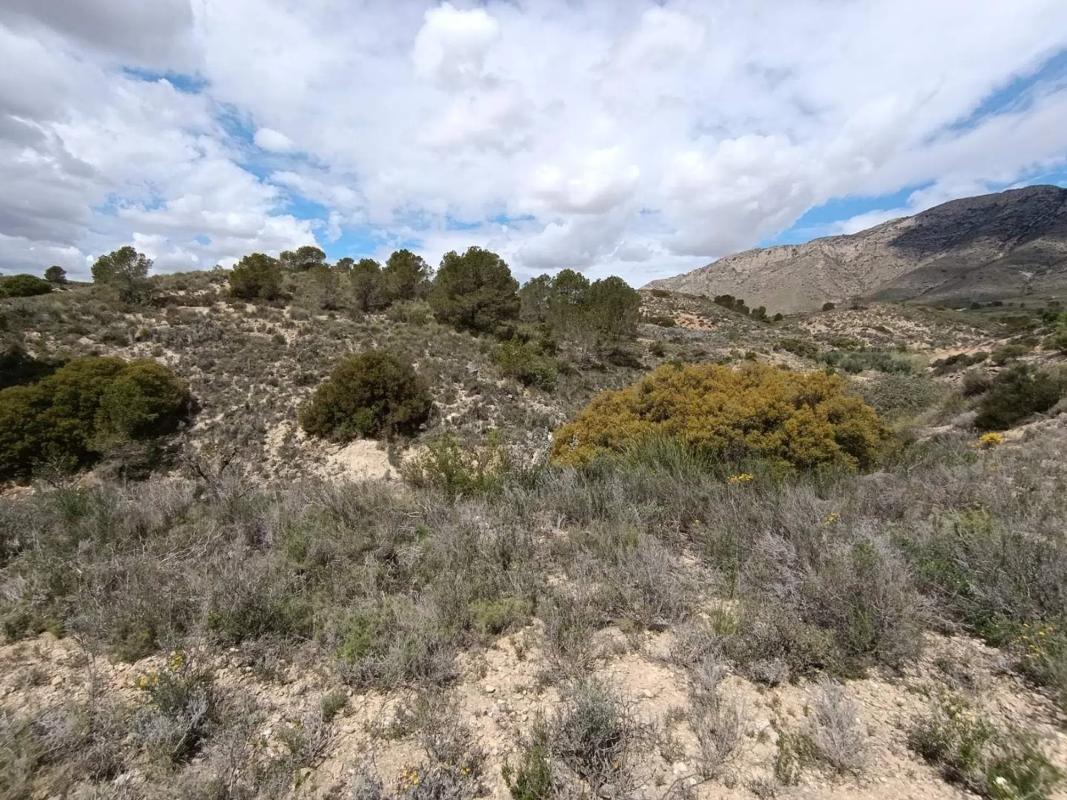 Land for sale in Orihuela, Alicante photo 2