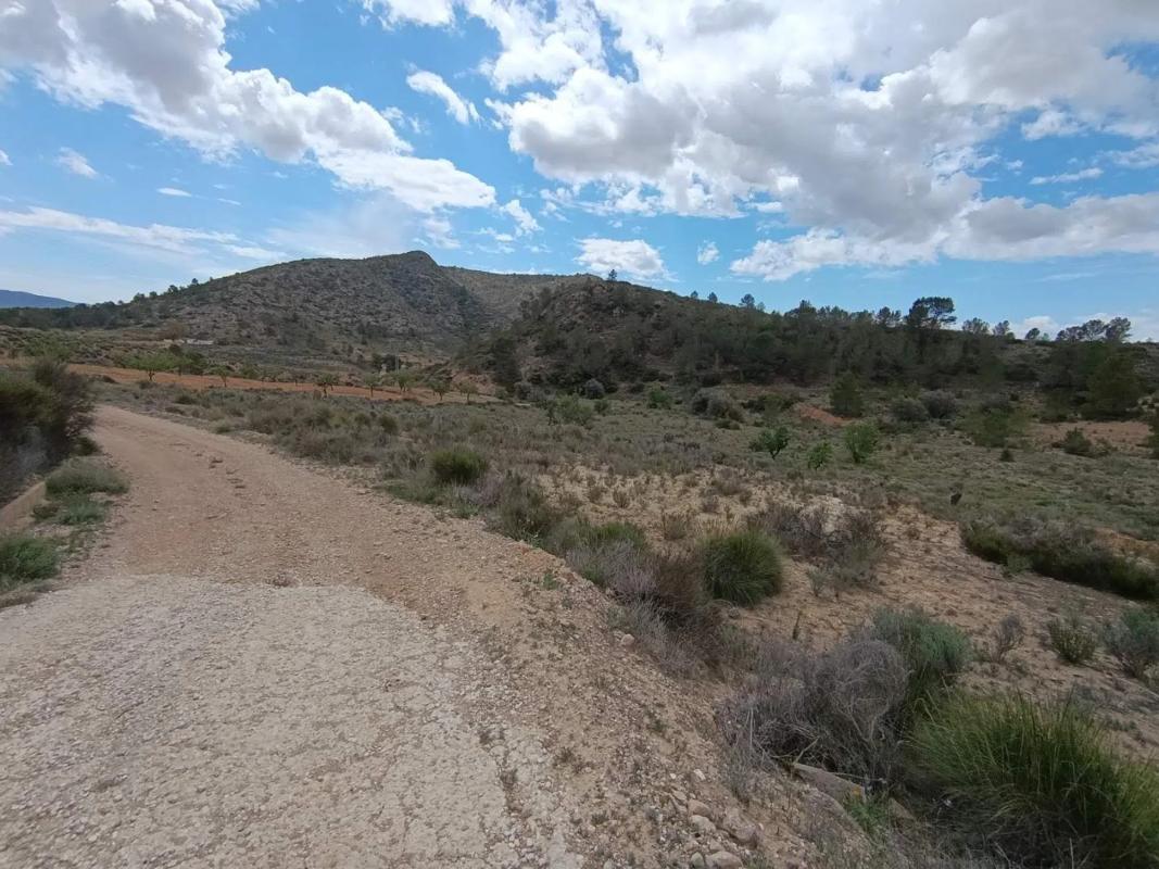 Land for sale in Orihuela, Alicante photo 3