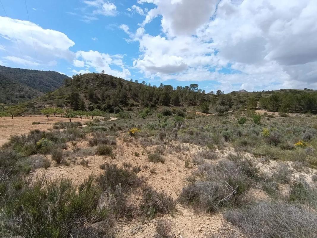 Land for sale in Orihuela, Alicante photo 5