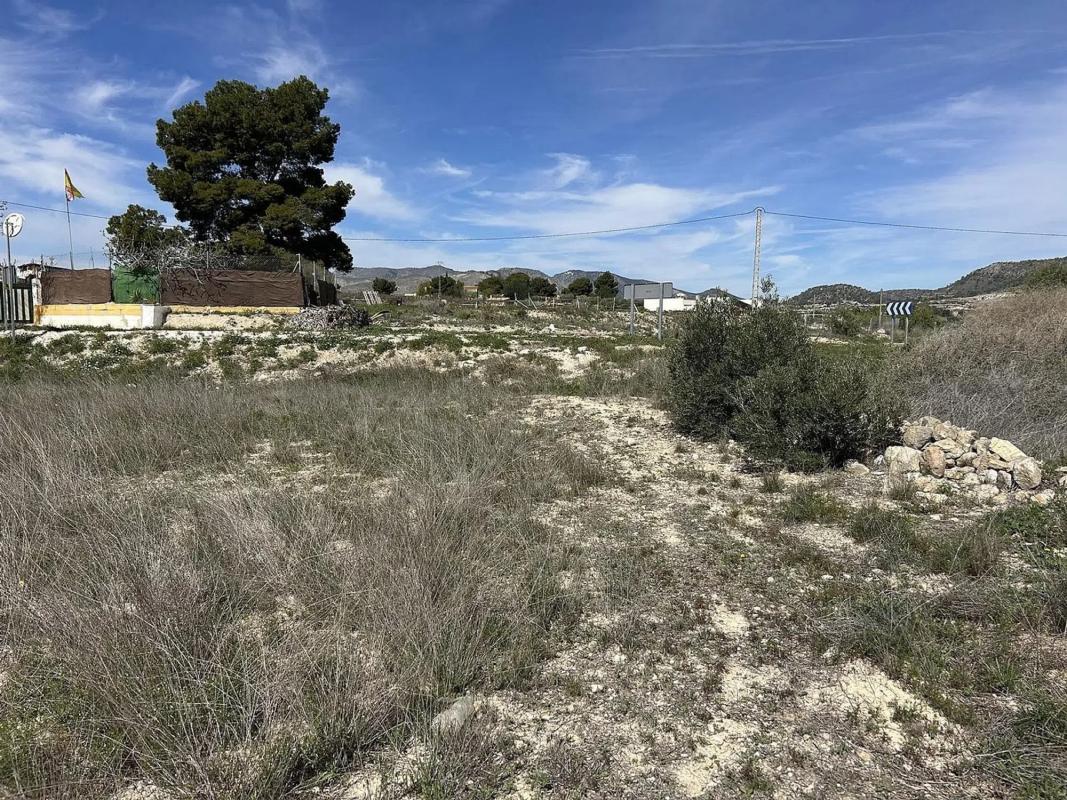 Land for sale in Hondón de las Nieves, Alicante photo 2