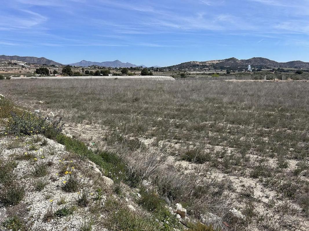Land for sale in Hondón de las Nieves, Alicante photo 3