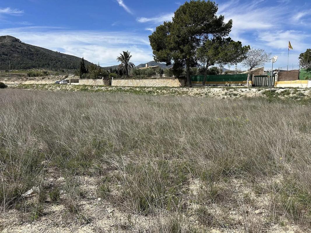 Land for sale in Hondón de las Nieves, Alicante photo 4
