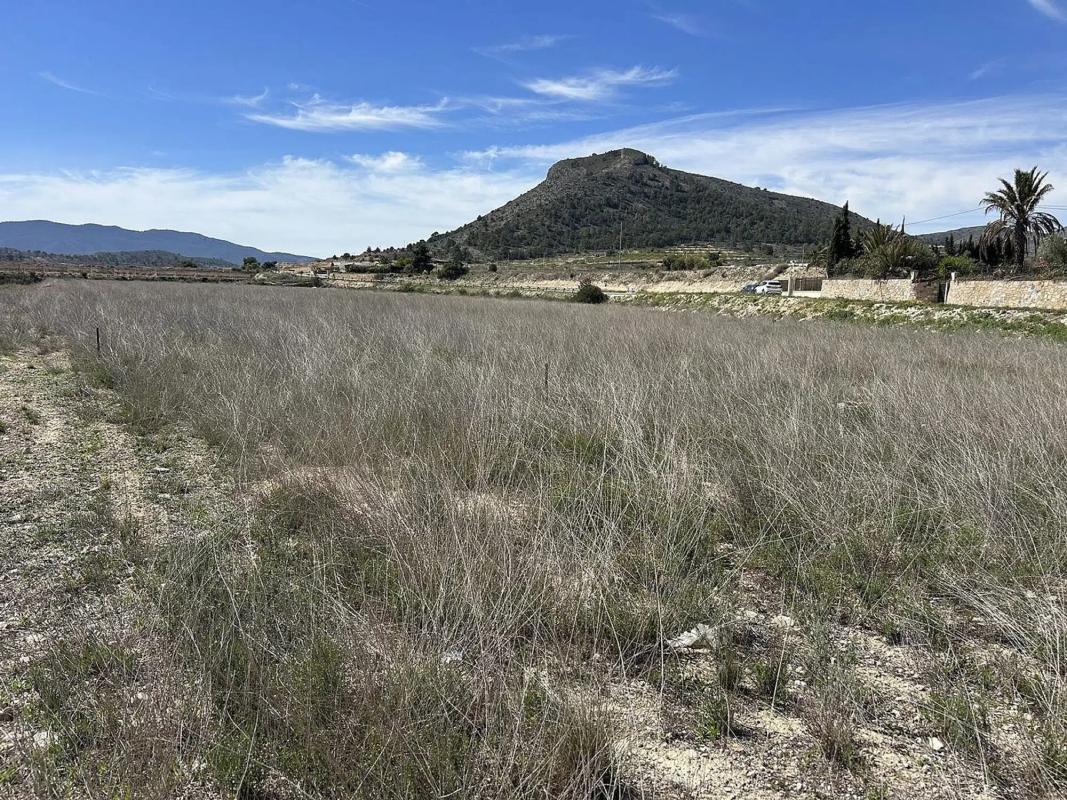 Land for sale in Hondón de las Nieves, Alicante photo 5