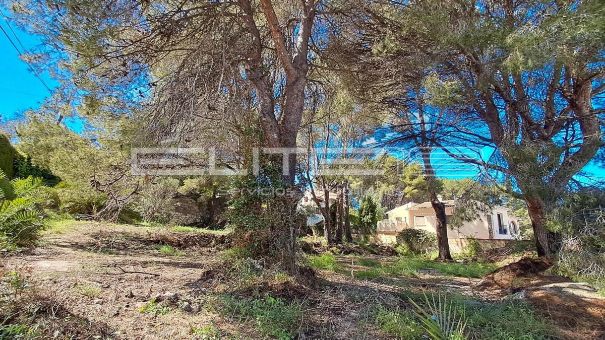Działka na sprzedaż w Jávea/Xàbia, Alicante photo 4