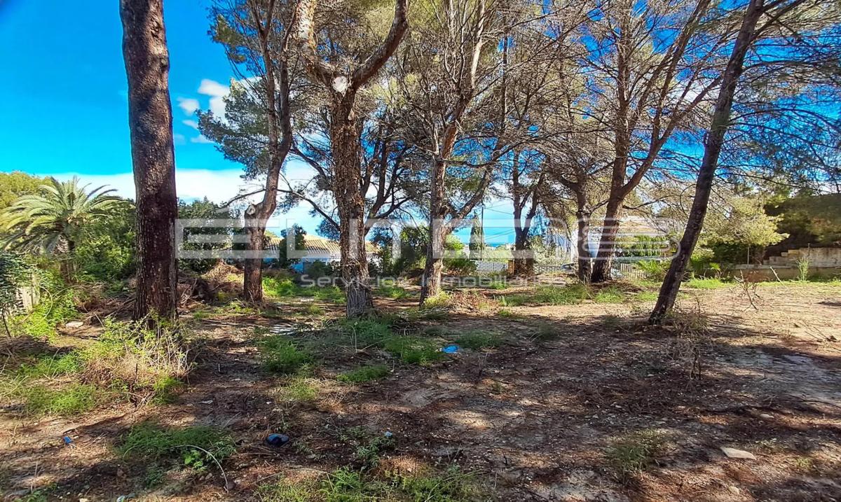 Działka na sprzedaż w Jávea/Xàbia, Alicante photo 5